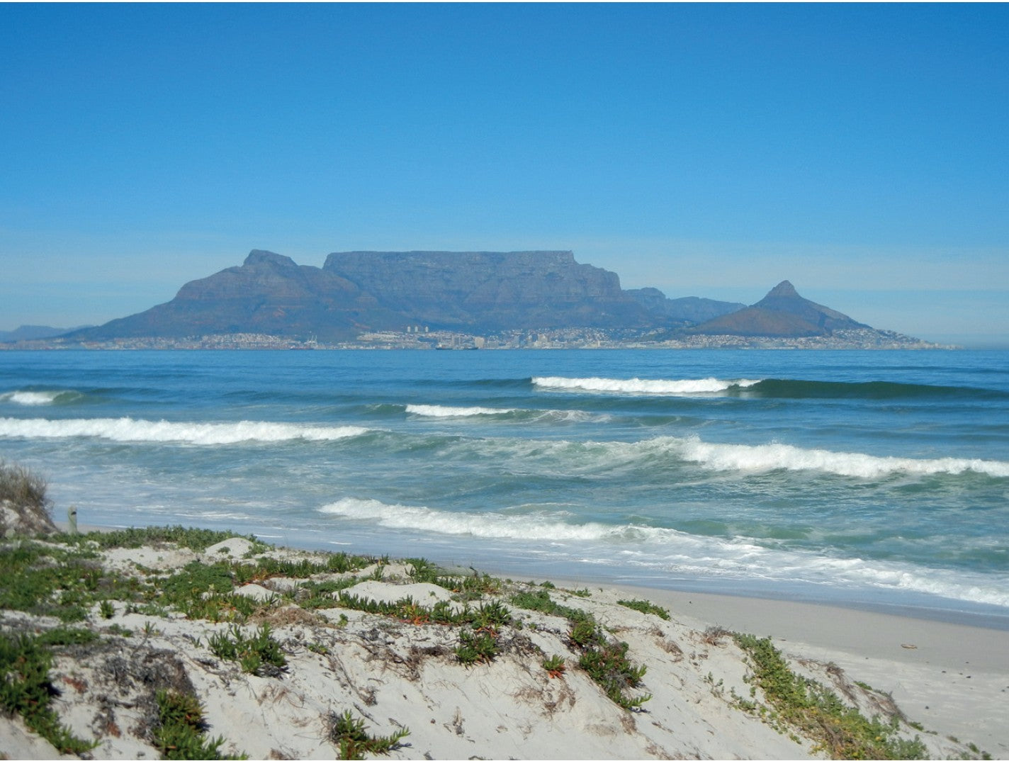 Before the Mandela Shirt: Desré Buirski’s True Origin Story