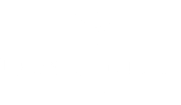 Presidential Shirt