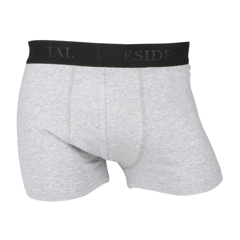 Presidential Men's Briefs - Grey